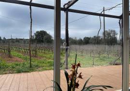 15-hectare estate with vineyard in Estremoz