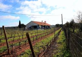 15-hectare estate with vineyard in Estremoz