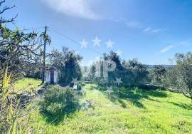 LOULÉ - SÃO CLEMENTE - TERRAIN AND RUIN