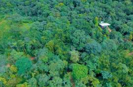 100-Acre Permaculture Farm and Development Opportunity For Sale In Pedro Vicente Maldonado