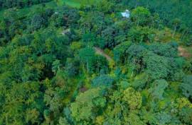 100-Acre Permaculture Farm and Development Opportunity For Sale In Pedro Vicente Maldonado