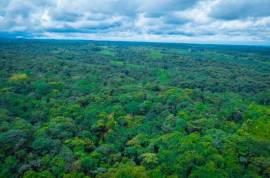 100-Acre Permaculture Farm and Development Opportunity For Sale In Pedro Vicente Maldonado