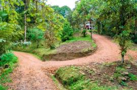 100-Acre Permaculture Farm and Development Opportunity For Sale In Pedro Vicente Maldonado