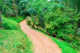 100-Acre Permaculture Farm and Development Opportunity For Sale In Pedro Vicente Maldonado