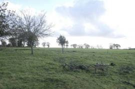 Huge Barn and Farmhouse to Develop