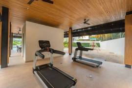 A New Way of Living: Bosques de Pinilla - Model A+, Hacienda Pinilla