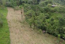 Rio Celeste Lot In Bijagua: Prime Lot for Sale Near Rio Celeste and Tenorio Volcano National Park