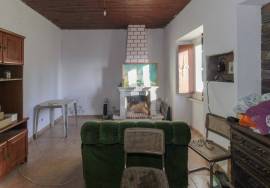 Small farm of 2,480 m2 with 3 bedroom villa and lots of sunshine.