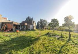 Small farm of 2,480 m2 with 3 bedroom villa and lots of sunshine.