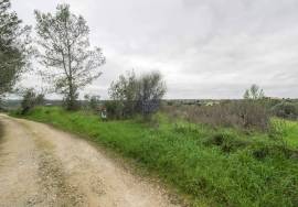 Rural land Santarém Achete