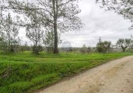 Rural land Santarém Achete