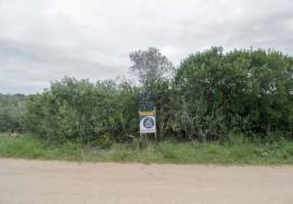 Rural land Santarém Tremês