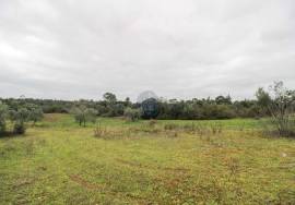 Rural land Santarém Tremês