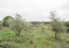 Rural land Santarém Tremês