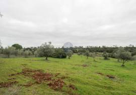 Rural land Santarém Tremês