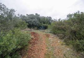 Rural land Santarém Tremês