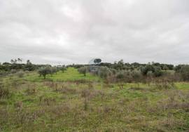 Rural land Santarém Tremês