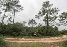 Rural land Santarém Tremês