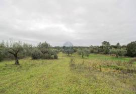 Rural land Santarém Tremês