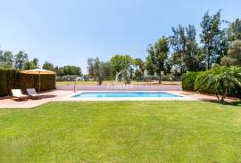 SPECTACULAR VILLA JUST A STONE'S THROW FROM SEVILLE AND DOÑANA