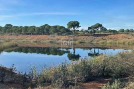 Historical Organic Estate with 63h and 3 natural lakes in the Alentejo