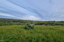 Estate with 160ha in the municipality of Montemor-o-Novo