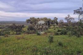 Estate with 160ha in the municipality of Montemor-o-Novo