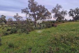 Estate with 160ha in the municipality of Montemor-o-Novo