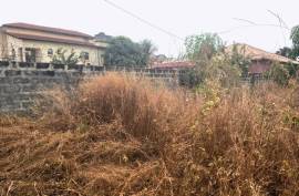 Excellent Plot of Development land for sale in Sukuta