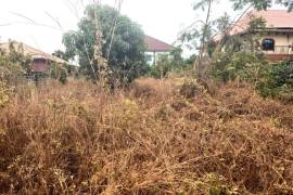 Excellent Plot of Development land for sale in Sukuta