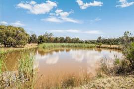 9 Hectare Country Estate For sale in Seymour Victoria