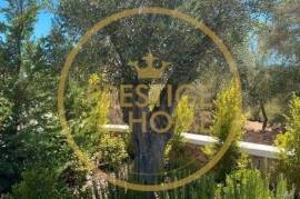 4 bedroom villa with swimming pool for annual rental