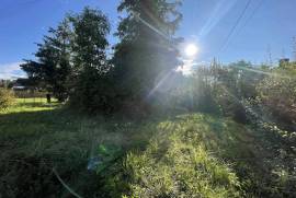 Detached House to Renovate with Garden