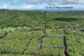 Lot #17 in Pinilla Teka: 5,000m2 Lot in Altos de Pinilla, Tranquility and Opportunity 10 Minutes from Playa Avellanas!