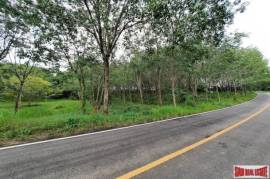 Over 10 Rai of Land for Sale with Rubber Plantation in Khao Thong, Krabi