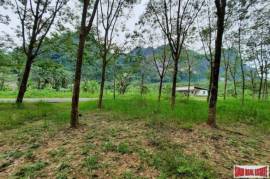 Over 10 Rai of Land for Sale with Rubber Plantation in Khao Thong, Krabi