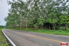 Over 10 Rai of Land for Sale with Rubber Plantation in Khao Thong, Krabi