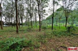 Over 10 Rai of Land for Sale with Rubber Plantation in Khao Thong, Krabi