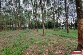 Over 10 Rai of Land for Sale with Rubber Plantation in Khao Thong, Krabi