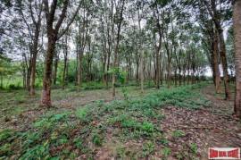 Over 10 Rai of Land for Sale with Rubber Plantation in Khao Thong, Krabi