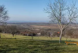 Hungary. Lovasberény. Farmstead with guest house. 