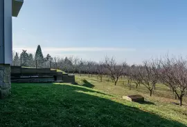 Hungary. Lovasberény. Farmstead with guest house. 