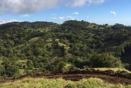 Clover Fields: Prime Development Land with Spectacular Views and Endless Potential near Monteverde