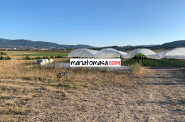 Farm for sale dedicated to the cultivation of strawberries and tomatoes next to the town of Mendoza