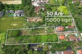 Exclusive Leasehold Land Offering in Ubud Perfect for Development