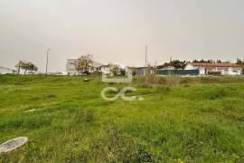 Land inserted in Allotment in the area of Antanhol