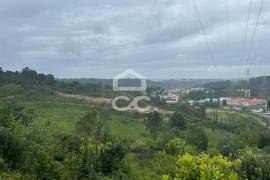 Urban land with 22,539 m2 next to the IC2, in Antanhol.