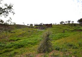 Farmhouse and Large Plot of Land