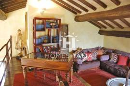 Beautiful villa with pool and olive grove