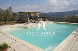 Beautiful villa with pool and olive grove